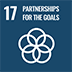 SDGs 17 Partnerships