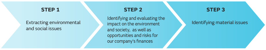 Image of Process of identifying material issues