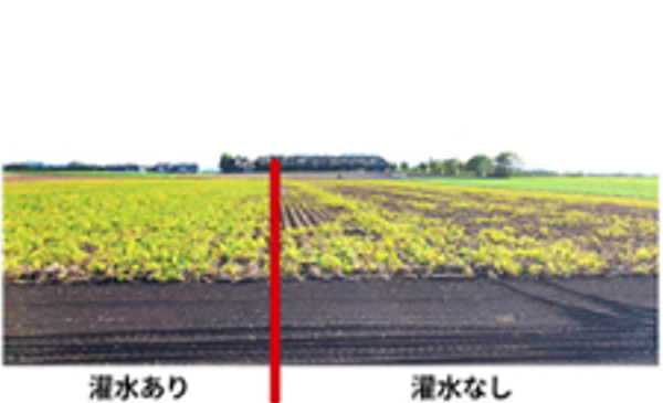 導入による効果のイメージ画像1