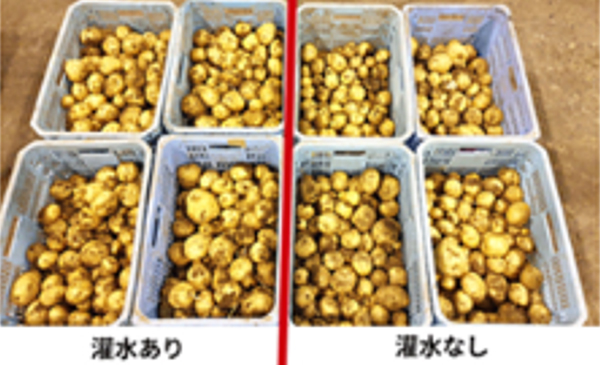 導入による効果のイメージ画像2