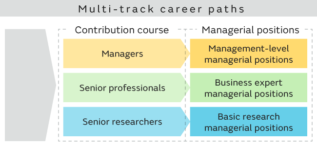 Image 1 of Provision of diverse career paths