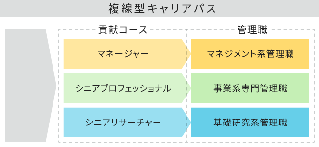 複線型キャリアパスの図1