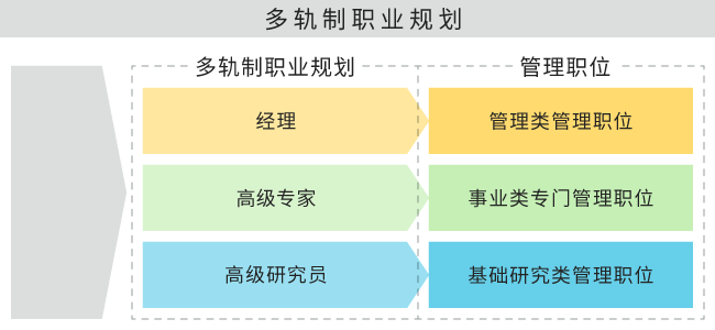 多轨制职业规划的图片