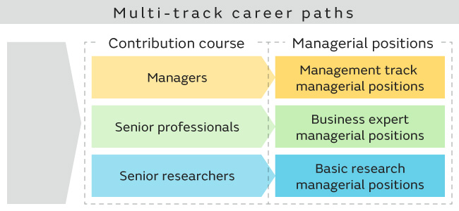 Image1 of Multi-track career paths