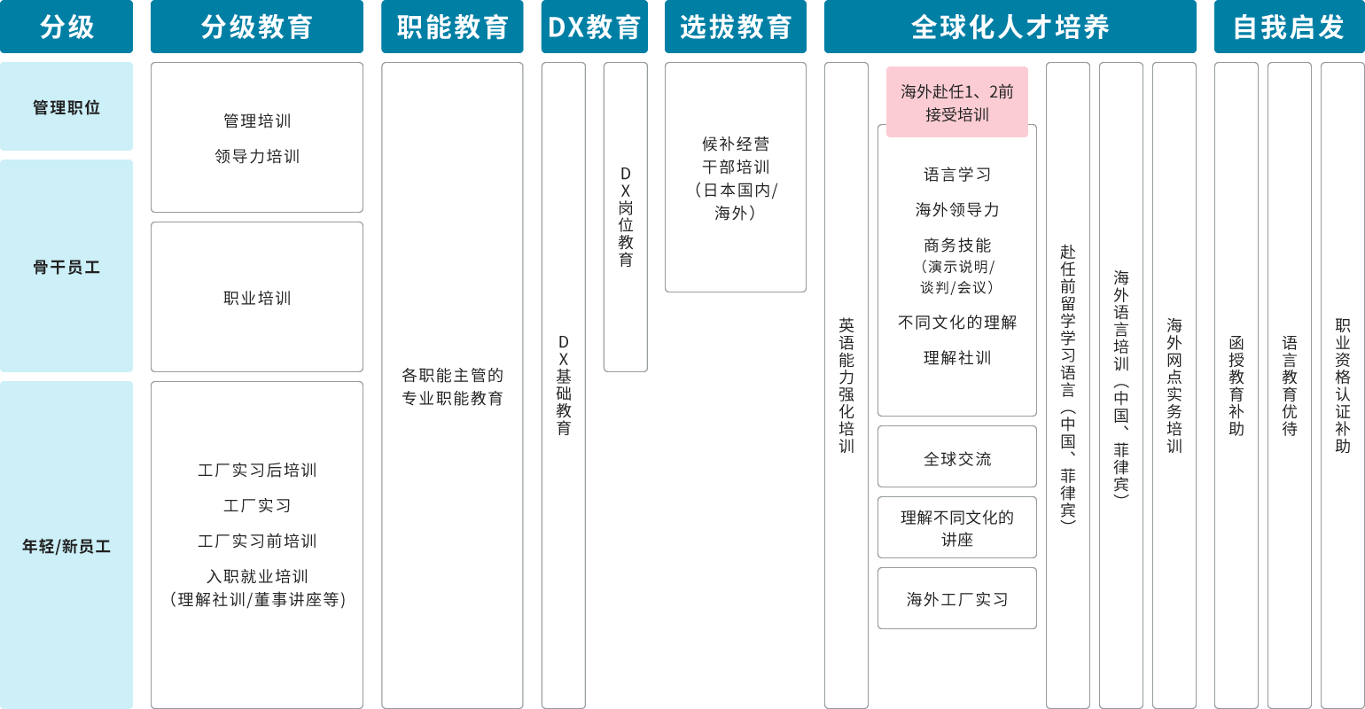 多种培训和教育机会图片