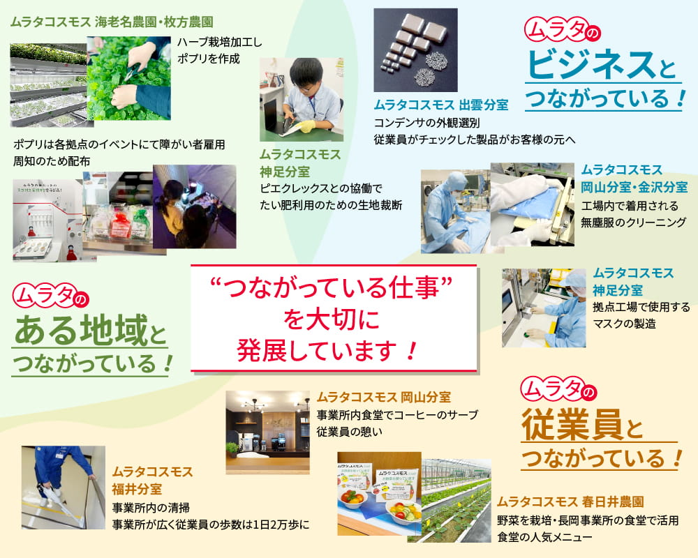 ムラタコスモスの説明図