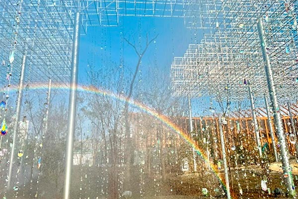 パビリオンの様子