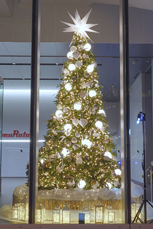 クリスマスツリーの画像