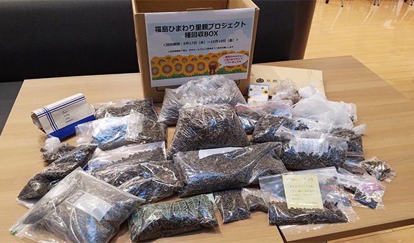 協力団体の皆様から寄せられたひまわりの種