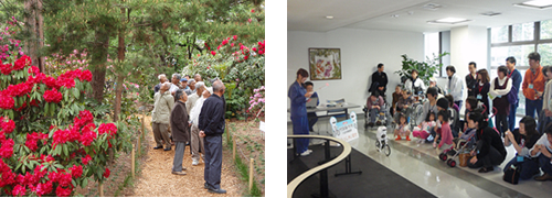 昨年度のしゃくなげ鑑賞会の様子