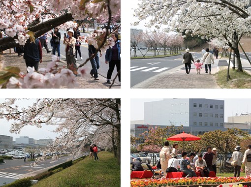 昨年度の一般公開の様子