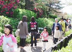 野洲事業所 昨年のしゃくなげ観賞会とチャリティーバザーの様子