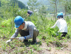 森林保全活動+薬草散策ツアーの様子