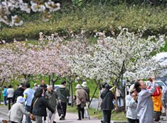 昨年度の一般公開の様子