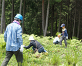 「ムラタの森」活動風景