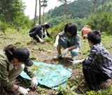 「ムラタの森」活動風景