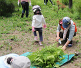 「ムラタの森」活動風景