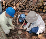 「ムラタの森」活動風景