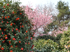 昨年度の一般公開の様子