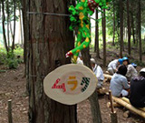「ムラタの森」2013年度第3回目活動写真