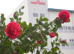 昨年度の一般公開の様子