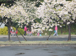 昨年度の一般公開の様子
