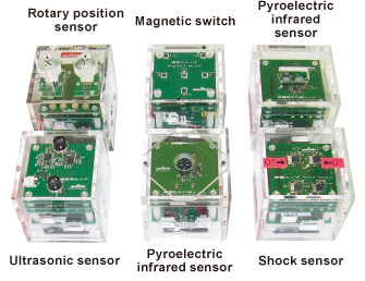 Fig. 1 SysCube demo kits