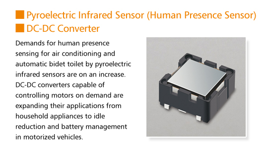 Pyroelectric Infrared Sensor (Human Presence Sensor), DC-DC Converter