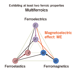 Multiferroics Exhibiting at least two ferroic properties