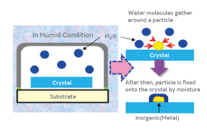 Fig. 10. The Mechanism of Moisture-Mediated Particle Adhesion