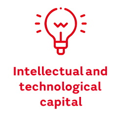 intellectual and technological capital