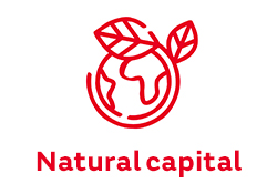 Natural capital