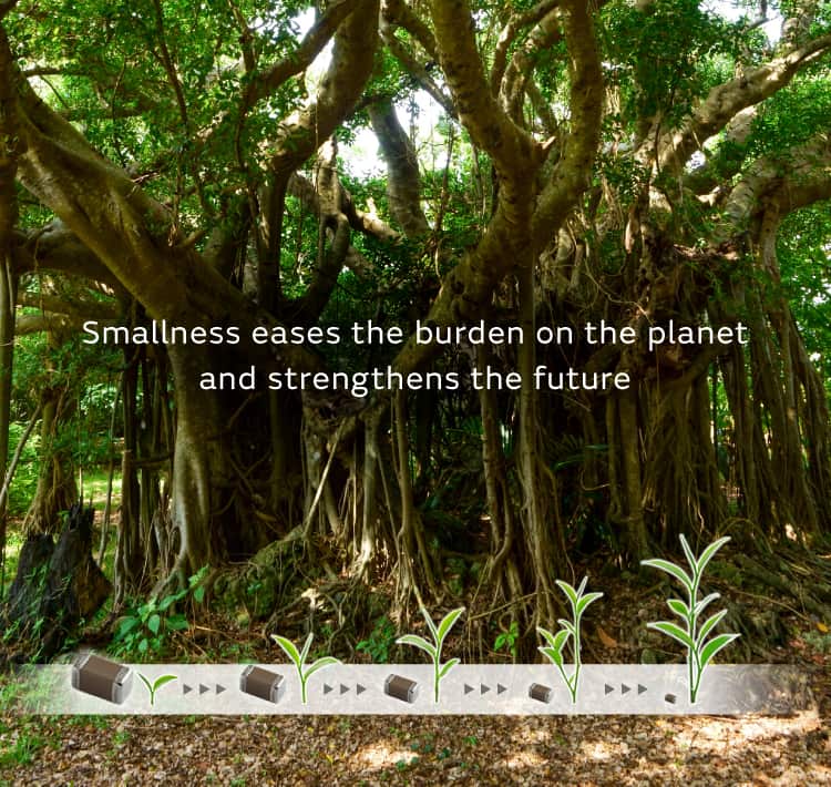 Smallness eases the burden on the planet and strengthens the future
