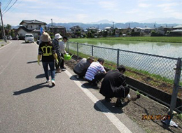 植え付け穴を掘ります