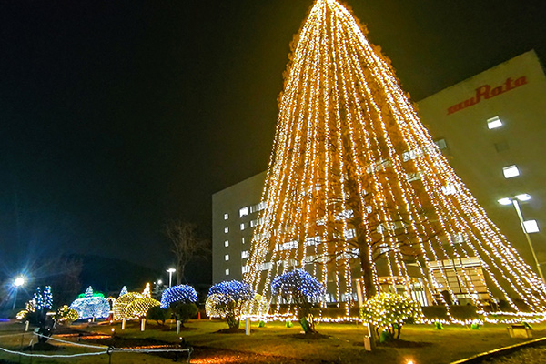 正面緑地一般開放　(イルミネーション)の写真1
