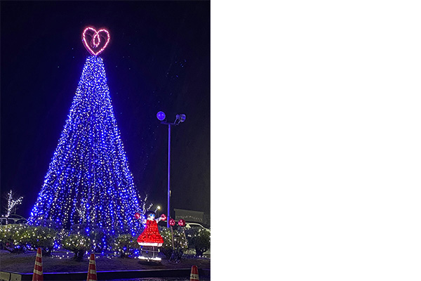 正面緑地一般開放　(イルミネーション)の写真2