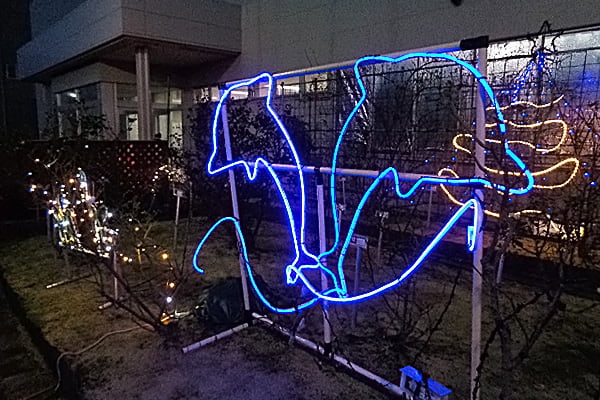 イルミネーション２