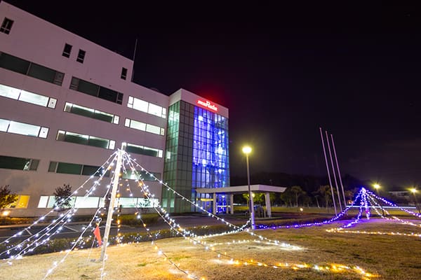 イルミネーションの写真