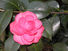 赤角の倉（あかすみのくら）