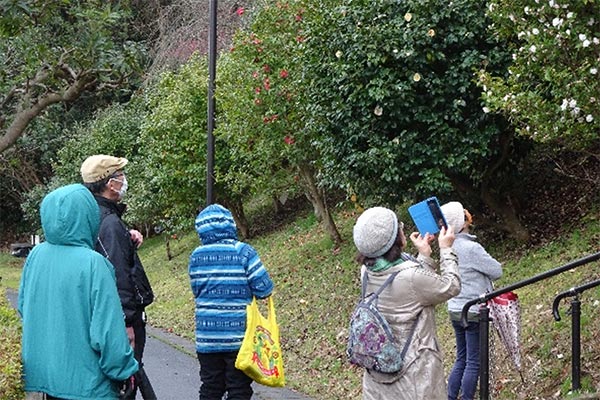 椿小道さんぽの写真2