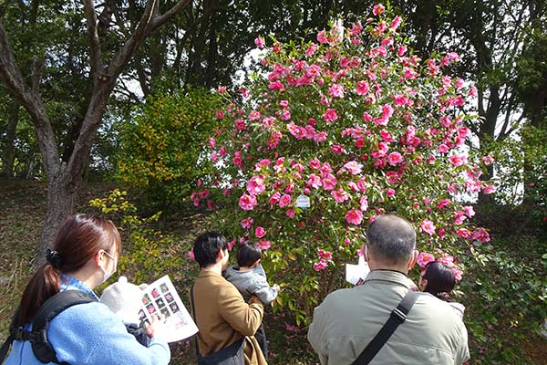 椿公開イベントの様子1