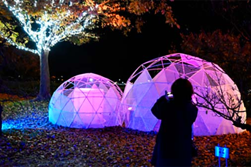 イルミネーション2