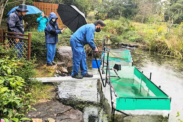 保全活動の様子