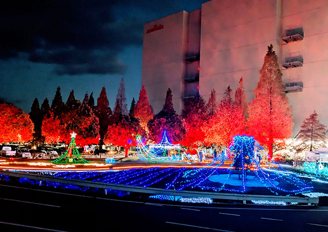 イルミネーションの写真