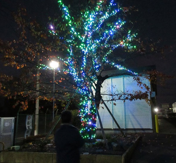 イルミネーションの写真