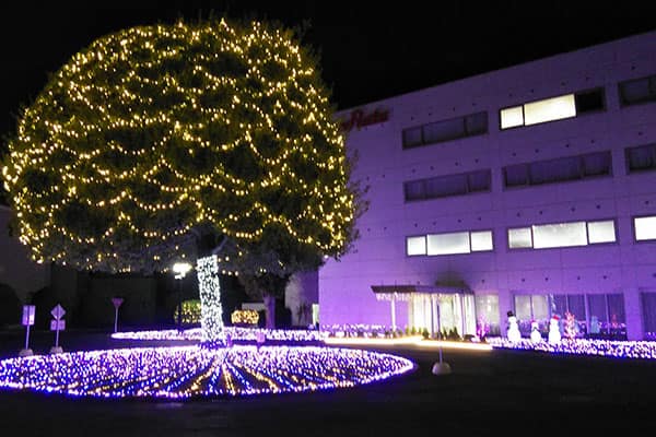 イルミネーションの画像1