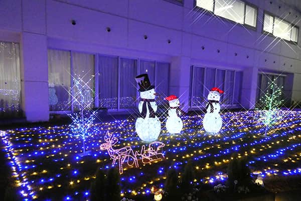 イルミネーションの画像2