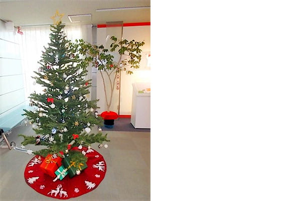 イルミネーションの画像3