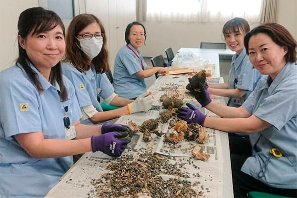 福島ひまわり里親プロジェクトの画像2