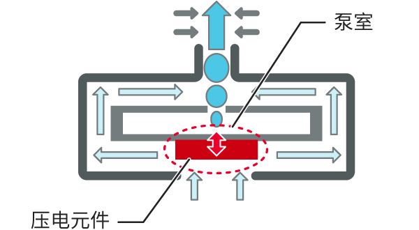 图：村田微型鼓风机的内部结构